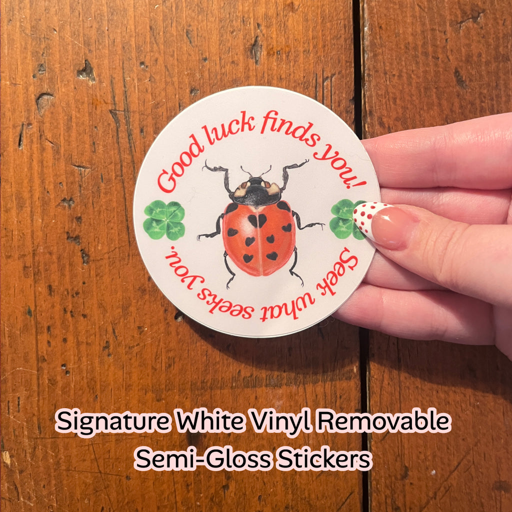 Seek what seeks you – Lady Bug Illustration Quote Luck sticker 3” x 3” circle.  Lettermail *untracked