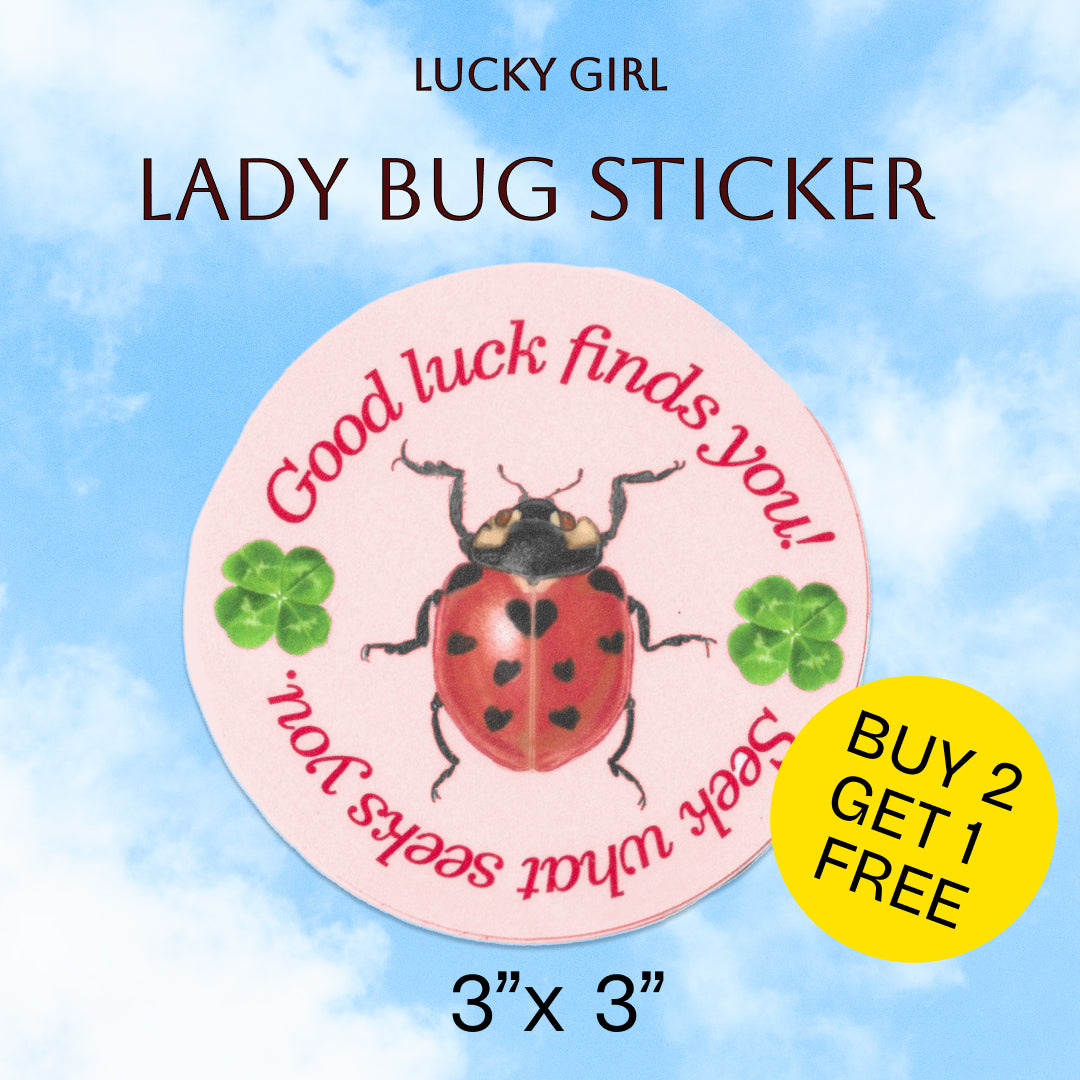 Seek what seeks you – Lady Bug Illustration Quote Luck sticker 3” x 3” circle.  Lettermail *untracked