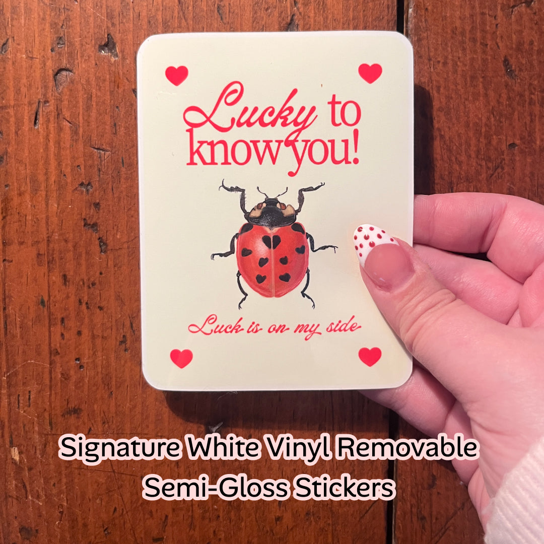 Lucky to know you – Rectangle Lady Bug Illustration Quote Luck sticker. 3” x 4”. Lettermail *untracked