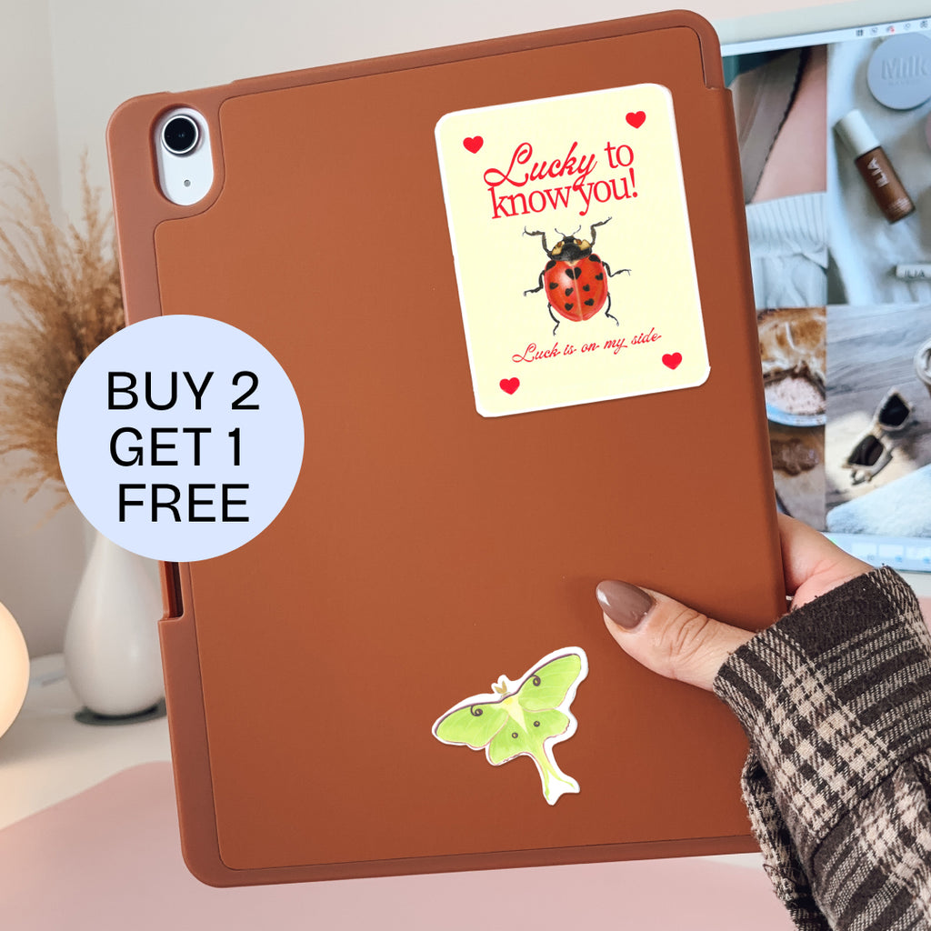 Lucky to know you – Rectangle Lady Bug Illustration Quote Luck sticker. 3” x 4”. Lettermail *untracked