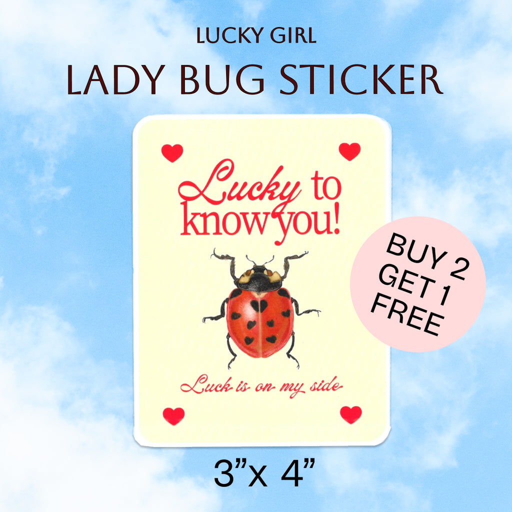 Lucky to know you – Rectangle Lady Bug Illustration Quote Luck sticker. 3” x 4”. Lettermail *untracked