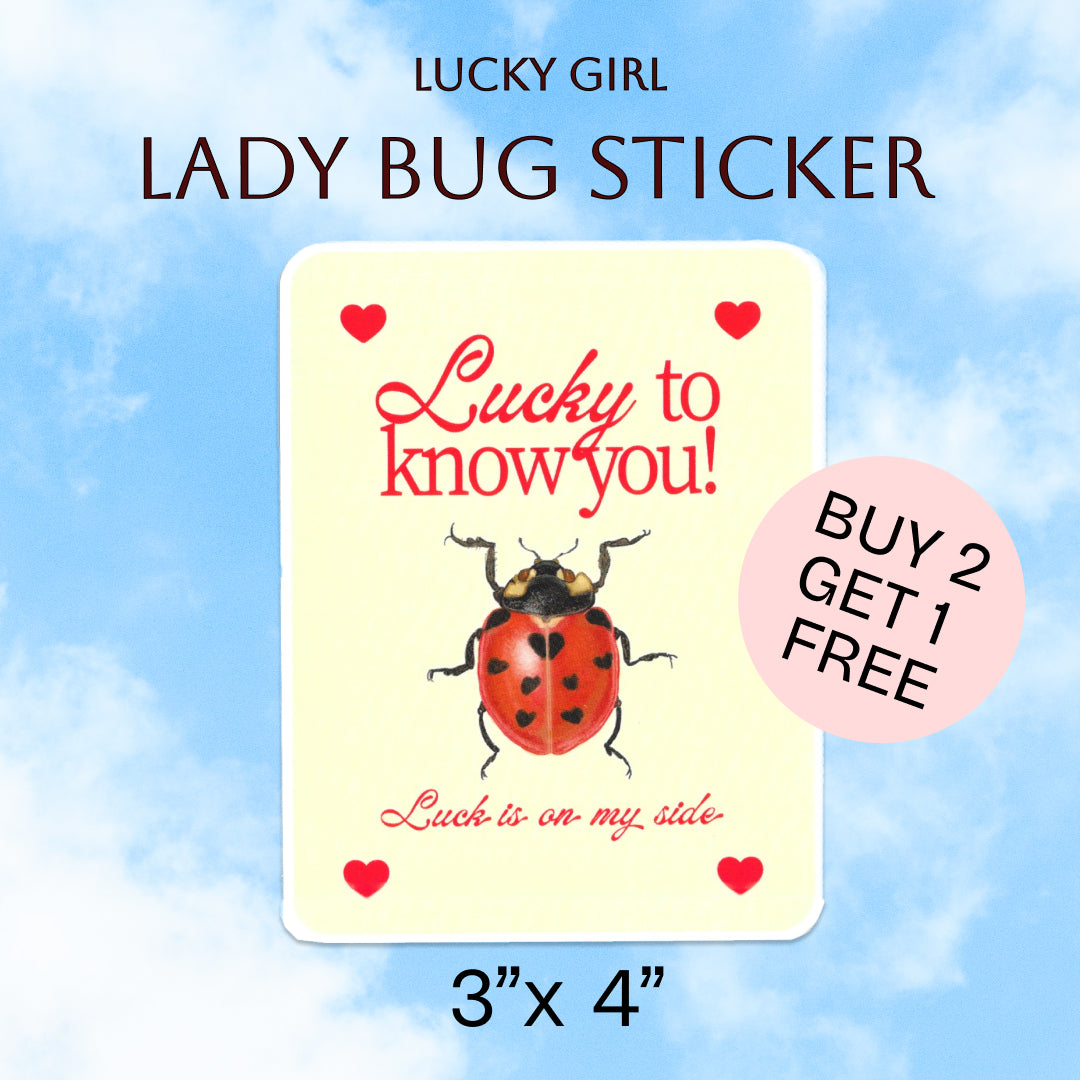 Lucky to know you – Rectangle Lady Bug Illustration Quote Luck sticker. 3” x 4”. Lettermail *untracked
