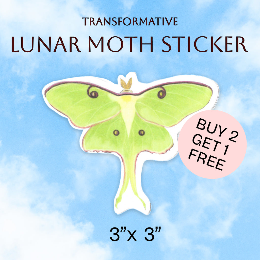 Lunar Moth hand-drawn digital illustration sticker. 3” x 3.28”. Lettermail *untracked
