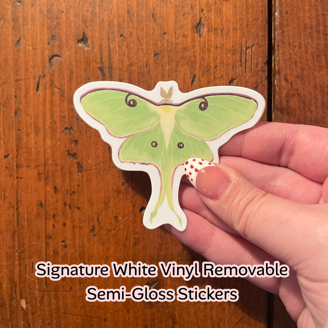 Lunar Moth hand-drawn digital illustration sticker. 3” x 3.28”. Lettermail *untracked